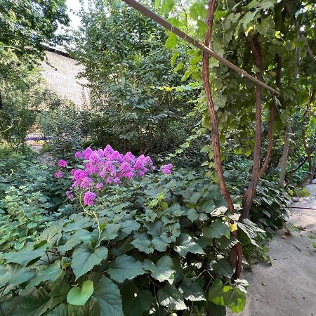 Lovely Home Ош Екстер'єр фото