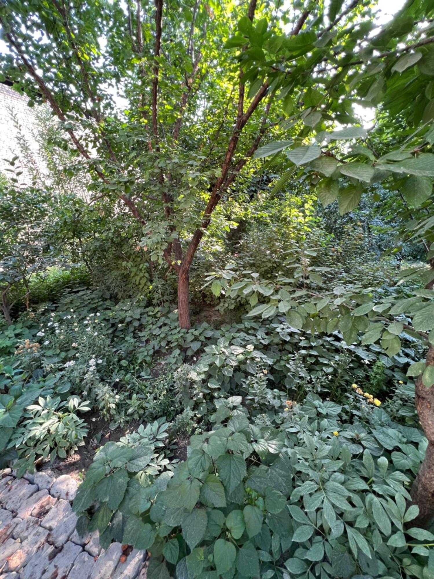 Lovely Home Ош Екстер'єр фото